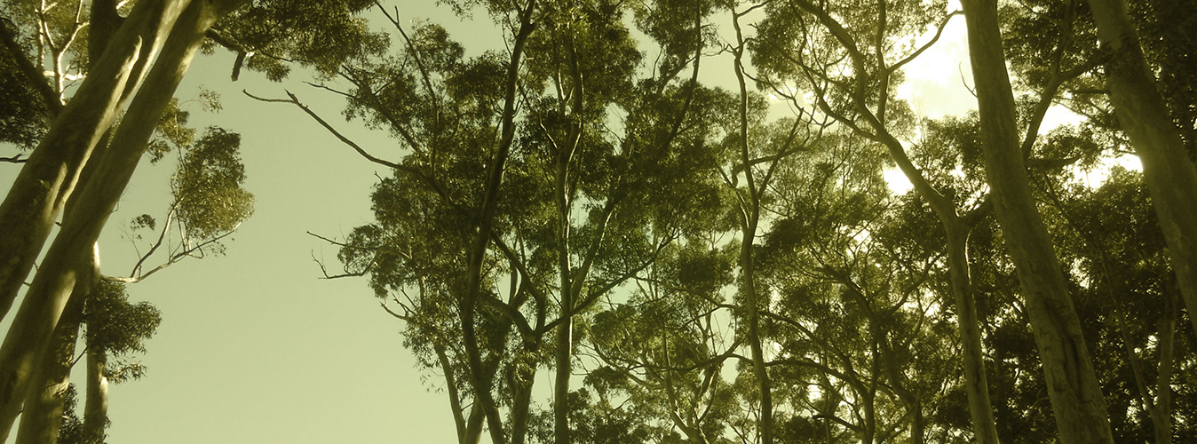 Slide background